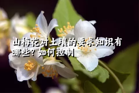 山梅花对土壤的要求知识有哪些？如何控制