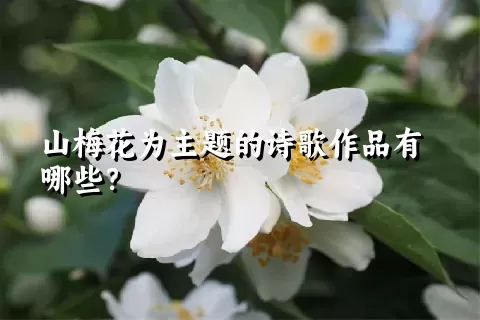 山梅花为主题的诗歌作品有哪些？