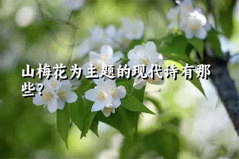 山梅花为主题的现代诗有那些？