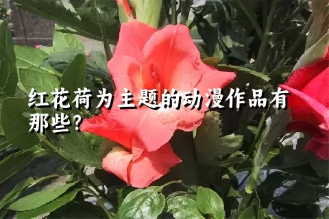 红花荷为主题的动漫作品有那些？