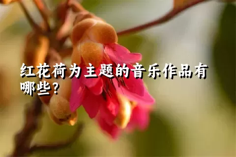 红花荷为主题的音乐作品有哪些？