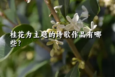 桂花为主题的诗歌作品有哪些？