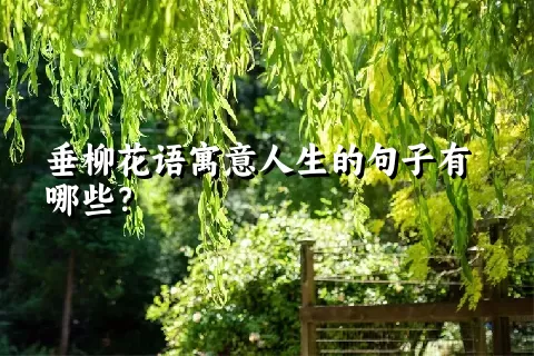 垂柳花语寓意人生的句子有哪些？