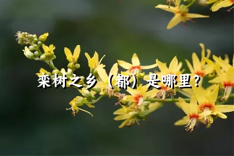 栾树之乡（都）是哪里？