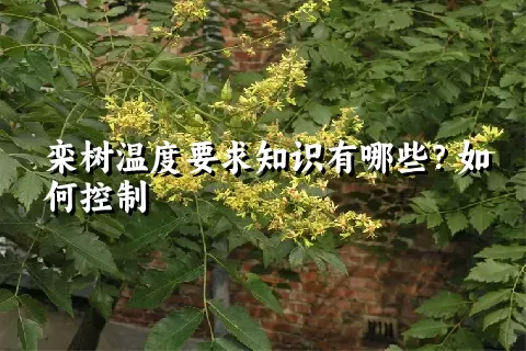 栾树温度要求知识有哪些？如何控制