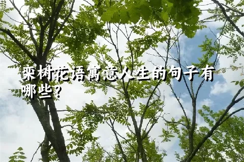 栾树花语寓意人生的句子有哪些？