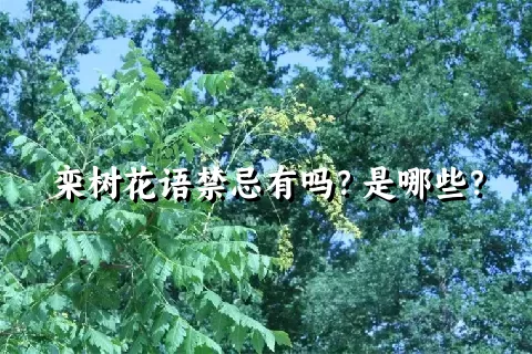 栾树花语禁忌有吗？是哪些？