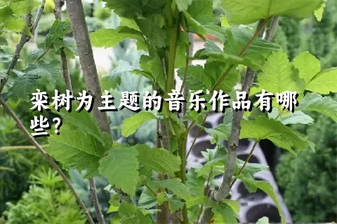 栾树为主题的音乐作品有哪些？