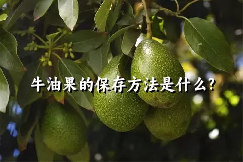 牛油果的保存方法是什么?