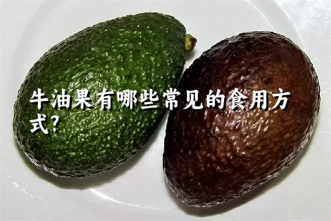 牛油果有哪些常见的食用方式?