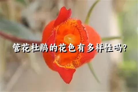 管花杜鹃的花色有多样性吗？