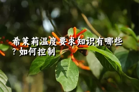 希茉莉温度要求知识有哪些？如何控制