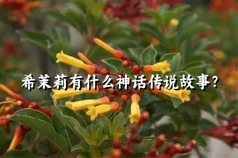 希茉莉有什么神话传说故事？