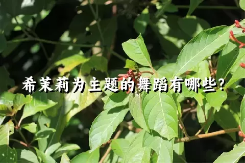 希茉莉为主题的舞蹈有哪些？