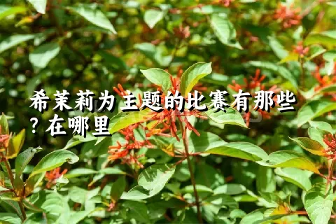 希茉莉为主题的比赛有那些？在哪里