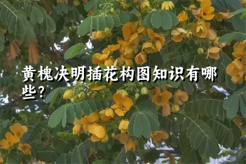 黄槐决明插花构图知识有哪些？