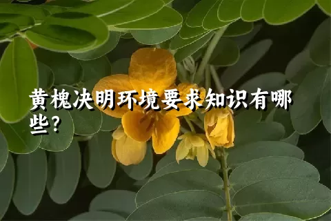 黄槐决明环境要求知识有哪些？