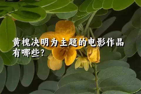 黄槐决明为主题的电影作品有哪些？