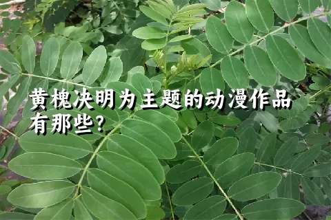 黄槐决明为主题的动漫作品有那些？