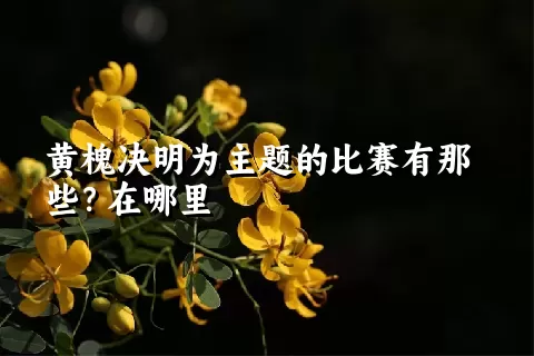 黄槐决明为主题的比赛有那些？在哪里