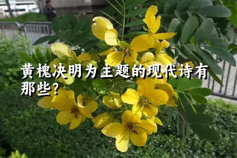 黄槐决明为主题的现代诗有那些？