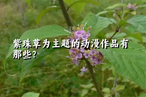 紫珠草为主题的动漫作品有那些？