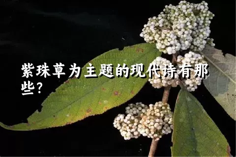 紫珠草为主题的现代诗有那些？