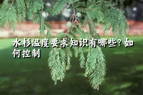 水杉温度要求知识有哪些？如何控制