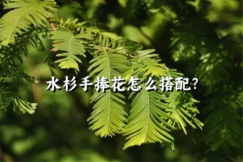 水杉手捧花怎么搭配？