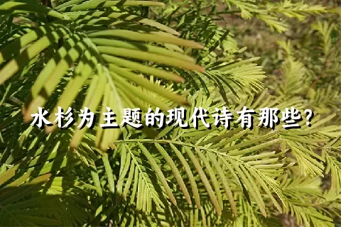 水杉为主题的现代诗有那些？