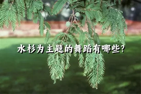 水杉为主题的舞蹈有哪些？