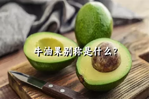 牛油果别称是什么？