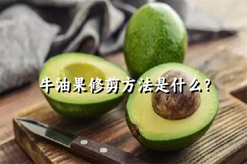 牛油果修剪方法是什么？