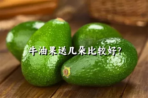 牛油果送几朵比较好？