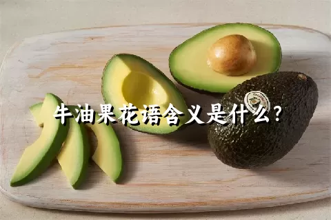 牛油果花语含义是什么？