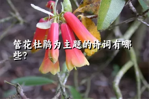 管花杜鹃为主题的诗词有哪些？