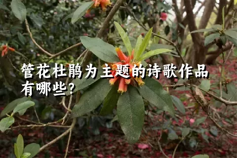 管花杜鹃为主题的诗歌作品有哪些？