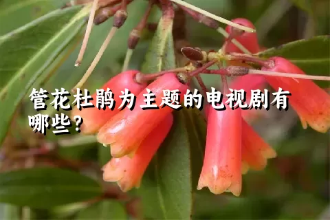 管花杜鹃为主题的电视剧有哪些？