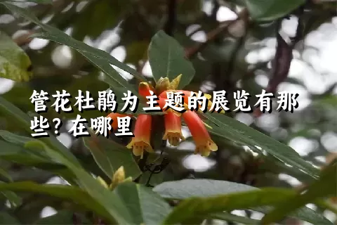 管花杜鹃为主题的展览有那些？在哪里