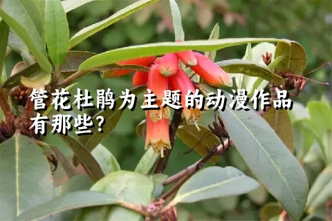 管花杜鹃为主题的动漫作品有那些？