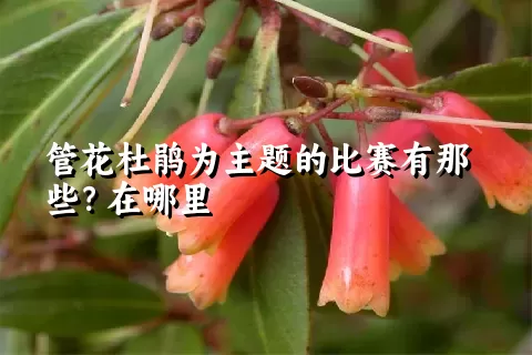 管花杜鹃为主题的比赛有那些？在哪里