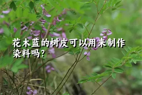 花木蓝的树皮可以用来制作染料吗？