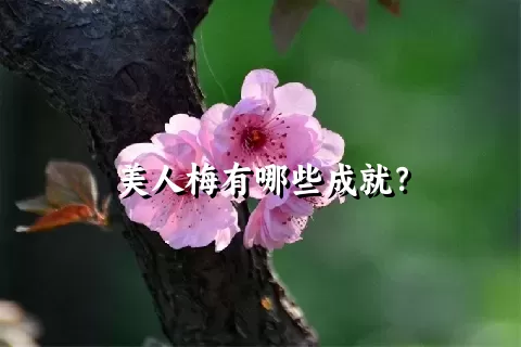 美人梅有哪些成就？