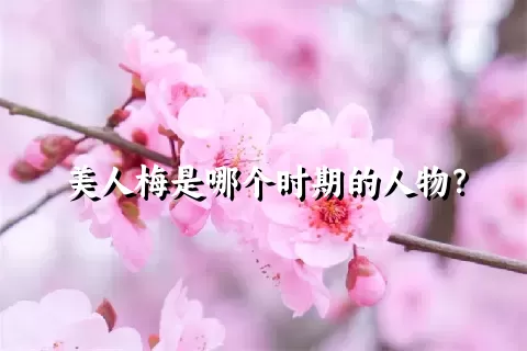 美人梅是哪个时期的人物？