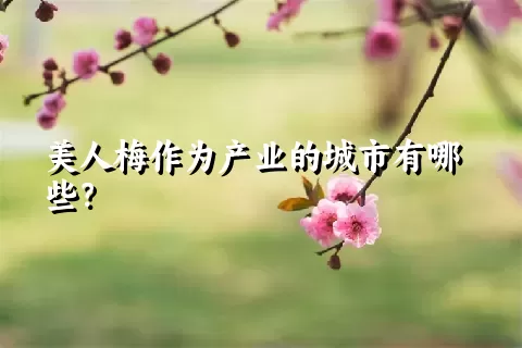 美人梅作为产业的城市有哪些？