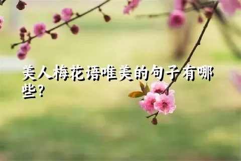 美人梅花语唯美的句子有哪些？