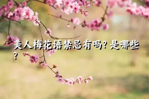 美人梅花语禁忌有吗？是哪些？