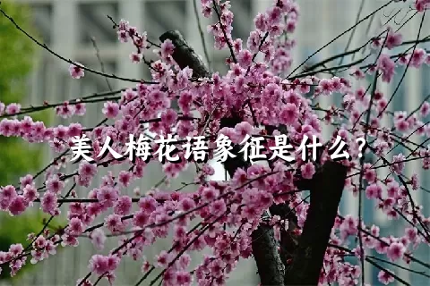 美人梅花语象征是什么？