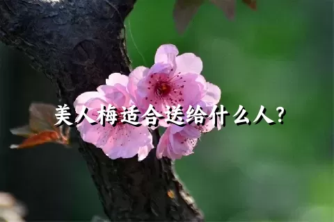 美人梅适合送给什么人？