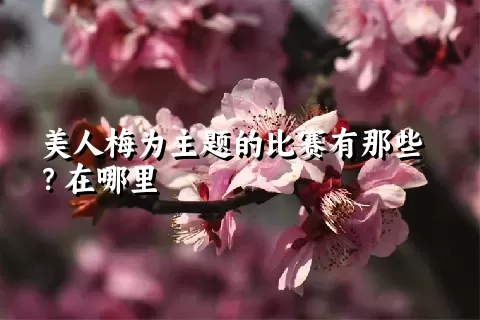 美人梅为主题的比赛有那些？在哪里